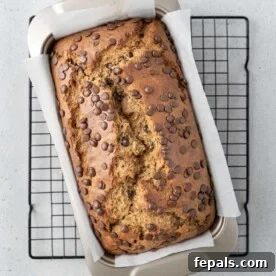 A delicious loaf of banana bread with chocolate chips in a baking pan, indicating it's fresh out of the oven.