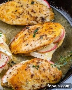 stuffed chicken breasts seared and baked in a pan.