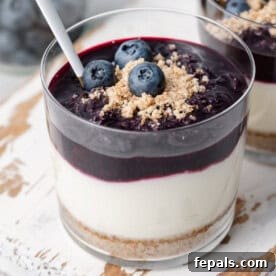 A charming cup displaying a layered no-bake cheesecake: a crumbly crust at the bottom, a creamy cheesecake filling in the middle, and a vibrant blueberry sauce on top.