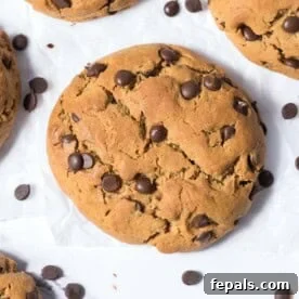 A single baked cookie with chocolate chips.