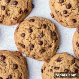 Cookies with chocolate chips laid flat.