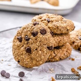 Side shot of a stack of cookies.