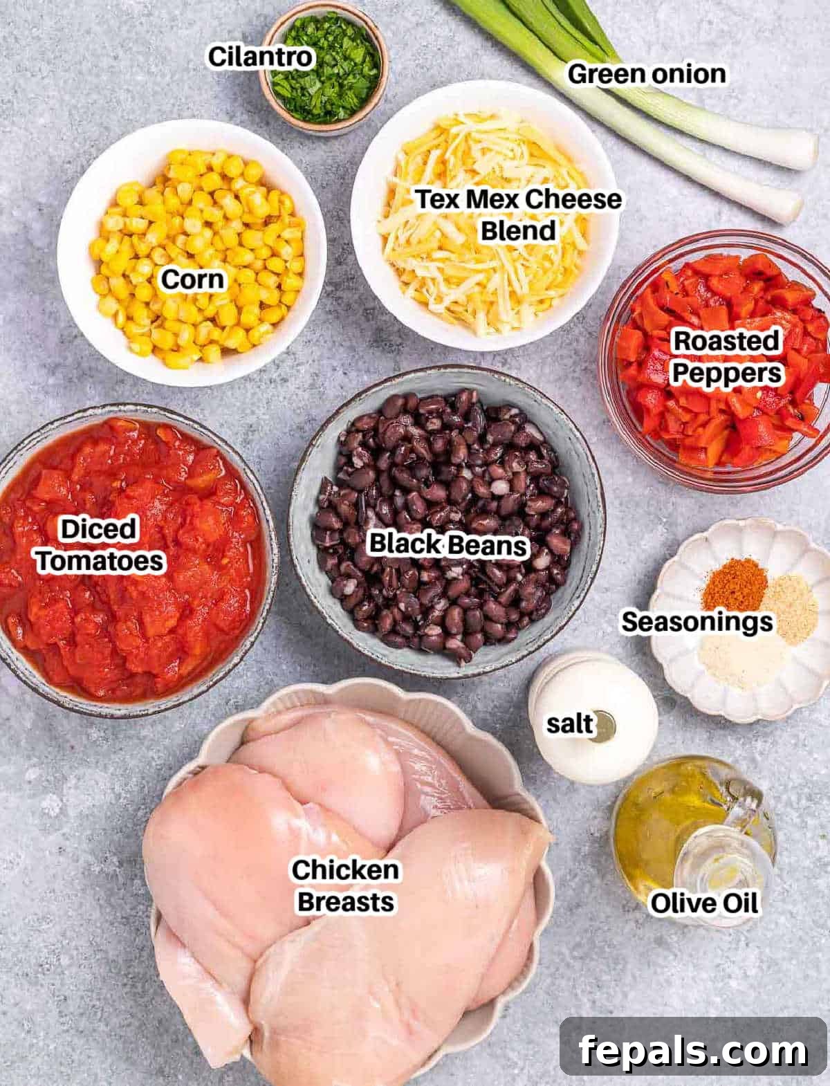 A vibrant display of fresh and pantry ingredients laid out for making Santa Fe Chicken Skillet: chicken breasts, various spices, olive oil, canned diced tomatoes, black beans, roasted peppers, corn, Tex-Mex cheese, green onions, and fresh cilantro.