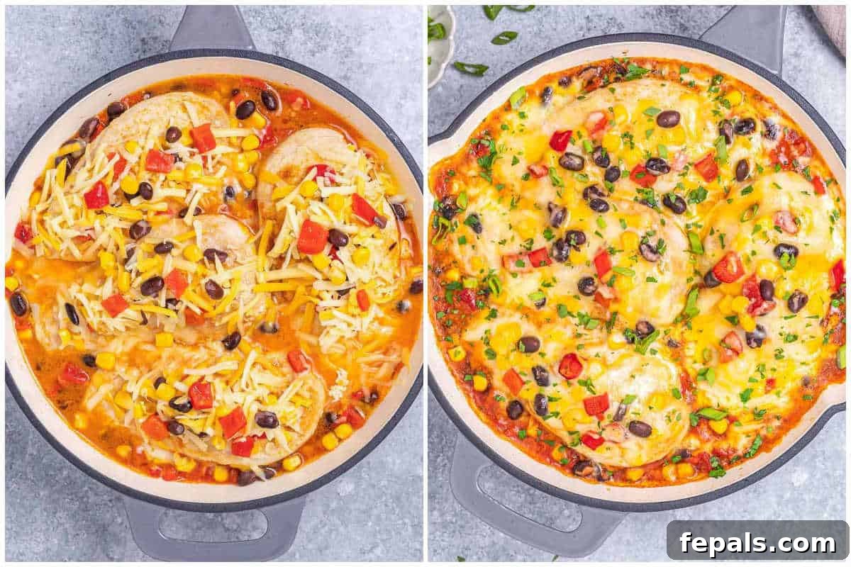 Seared chicken breasts nestled into a vibrant Santa Fe sauce of corn, beans, and peppers, topped with a generous layer of melting Tex-Mex cheese, ready for the oven.