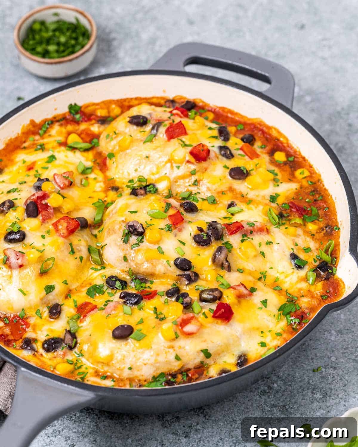 A perfectly cooked Santa Fe Chicken Skillet, featuring tender chicken breasts, melted cheese, and a vibrant mix of corn, black beans, and roasted peppers, garnished with fresh cilantro.