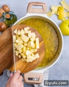 Spiced Anglo-Indian Mulligatawny 12 img 84511 12