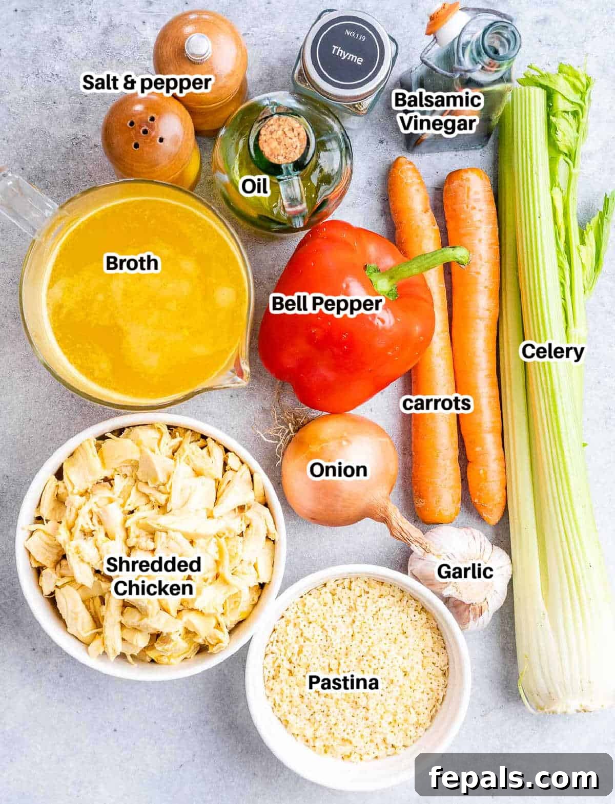 All the fresh ingredients laid out for making delicious chicken pastina soup.