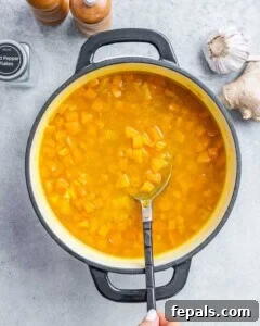 Soup simmering gently in a pot with vegetables becoming tender.