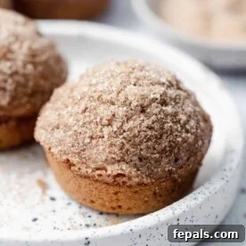 A tempting side shot of a single cinnamon muffin, generously topped with a dusting of cinnamon sugar, presented on a simple white plate.