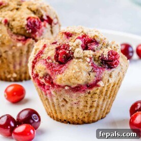 Side shot of a single perfectly baked orange cranberry muffin, with fresh cranberries artfully placed nearby for a festive touch.