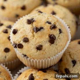 Overhead view of two perfectly baked Greek Yogurt Chocolate Chip Muffins in white liners, gently stacked to reveal their inviting texture.