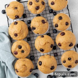 A dozen freshly baked cottage cheese blueberry muffins cooling on a wire rack, ready to be enjoyed.