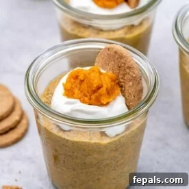 A cup of creamy pumpkin chia pudding, layered with Greek yogurt, crumbled biscuits, and various festive toppings, perfect for autumn.