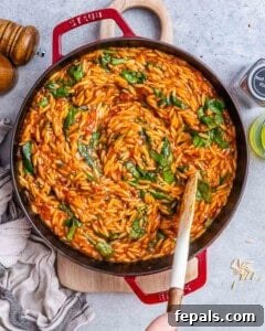 Large pot of orzo pasta coated in a rich tomato-balsamic sauce, swirled with wilted fresh spinach leaves and scattered sun-dried tomato pieces.