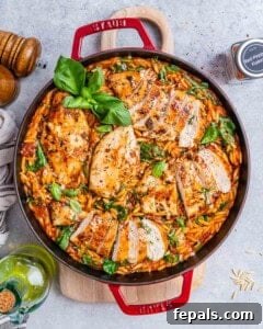 Top view of creamy Tuscan Chicken Orzo in a large red Dutch oven, showing sliced chicken on top of orzo mixed with wilted spinach, sun-dried tomatoes, and fresh basil garnish.
