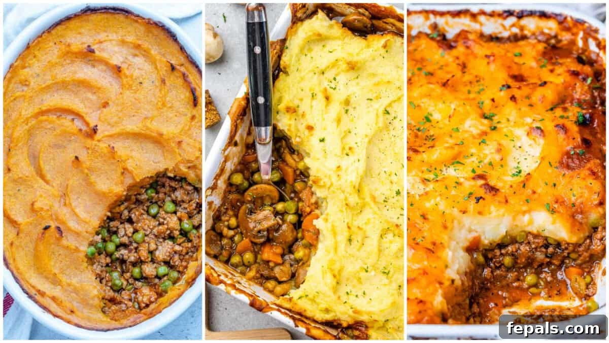 Shepherd's Pie Delights Classic Sweet Potato and Vegetarian Styles 2 3 images of shepherd's pie next to each other.