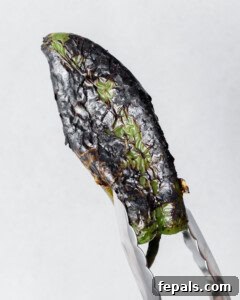 Poblano pepper being roasted over an open flame.