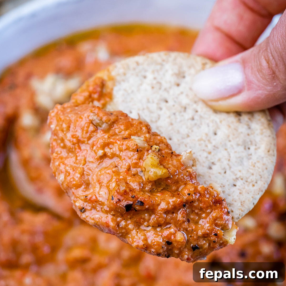A hand holding a chip generously dipped in muhammara, about to take a bite, showcasing the dip's creamy texture.