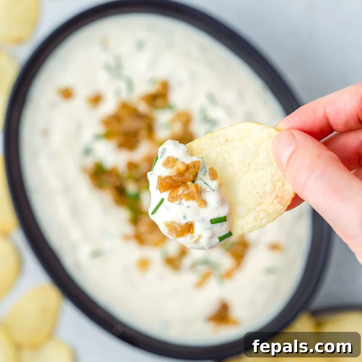 Decadent French Onion Dip 7 A bowl of creamy French onion dip with a hand reaching for a chip to dip into it, surrounded by other chips.