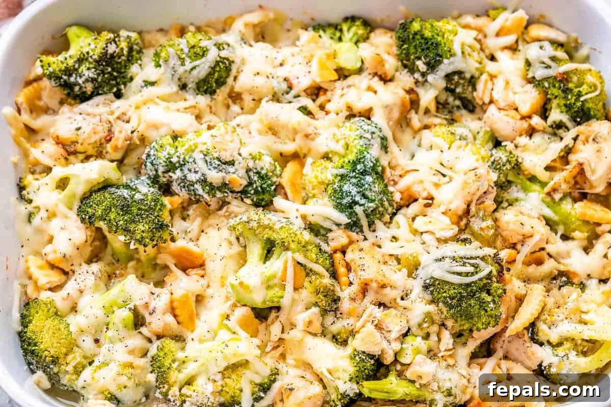 A close-up of a serving of Chicken Divan with tender chicken, vibrant broccoli, and a rich, creamy sauce, topped with golden melted cheese.