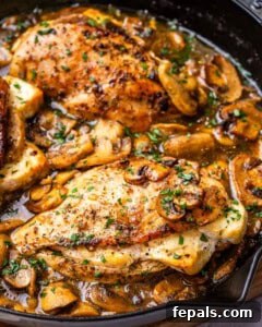 stuffed chicken breast in pan cooked in mushroom sauce.