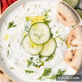 A round bowl of tzatziki sauce topped with sliced cucumber and a few pita bread slices in dip.