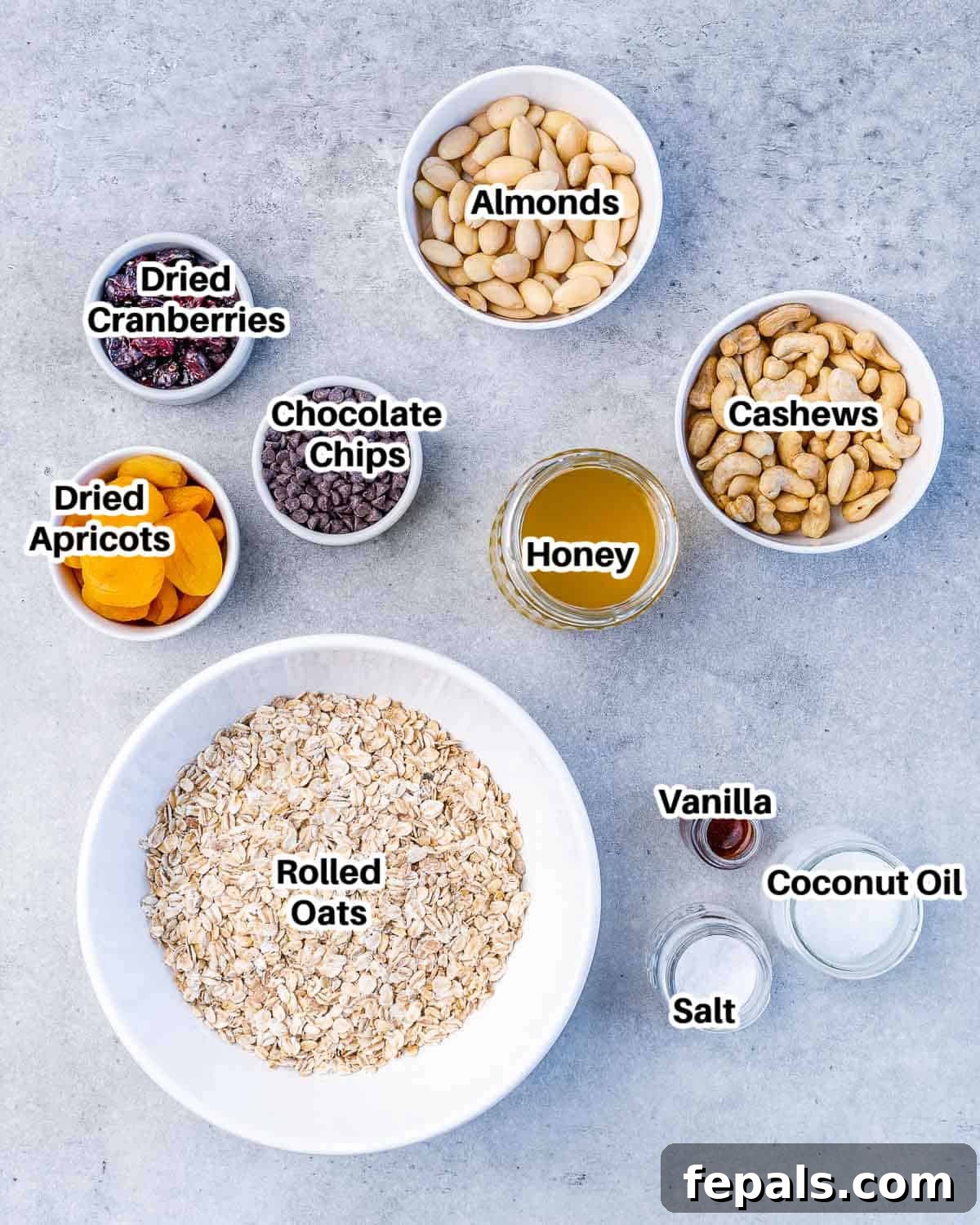 Ingredients to make granola bars with chocolate chips: oats, almonds, cashews, honey, coconut oil, vanilla extract, salt, dried apricots, dried cranberries, and mini dark chocolate chips.