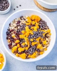 Top-down view of a white bowl filled with toasted oats mixed with chopped dried apricots, cranberries, and mini dark chocolate chips.