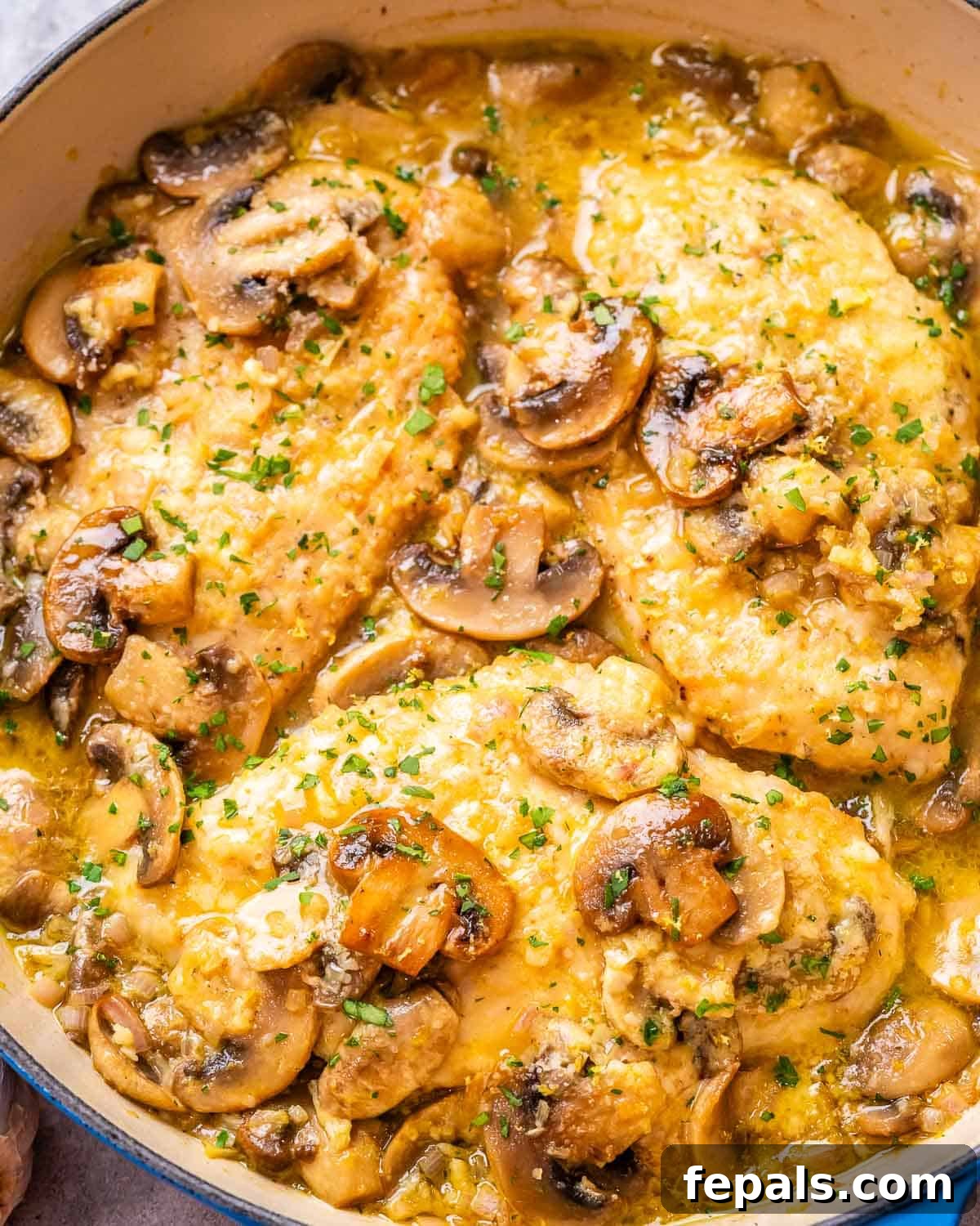 Golden Pan-Seared Chicken Medallions 2 chicken breasts in a lemon garlic mushroom sauce in a skillet.