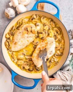 Golden Pan-Seared Chicken Medallions 13 adding the chicken breasts back into the lemon garlic and mushroom sauce in the pan.