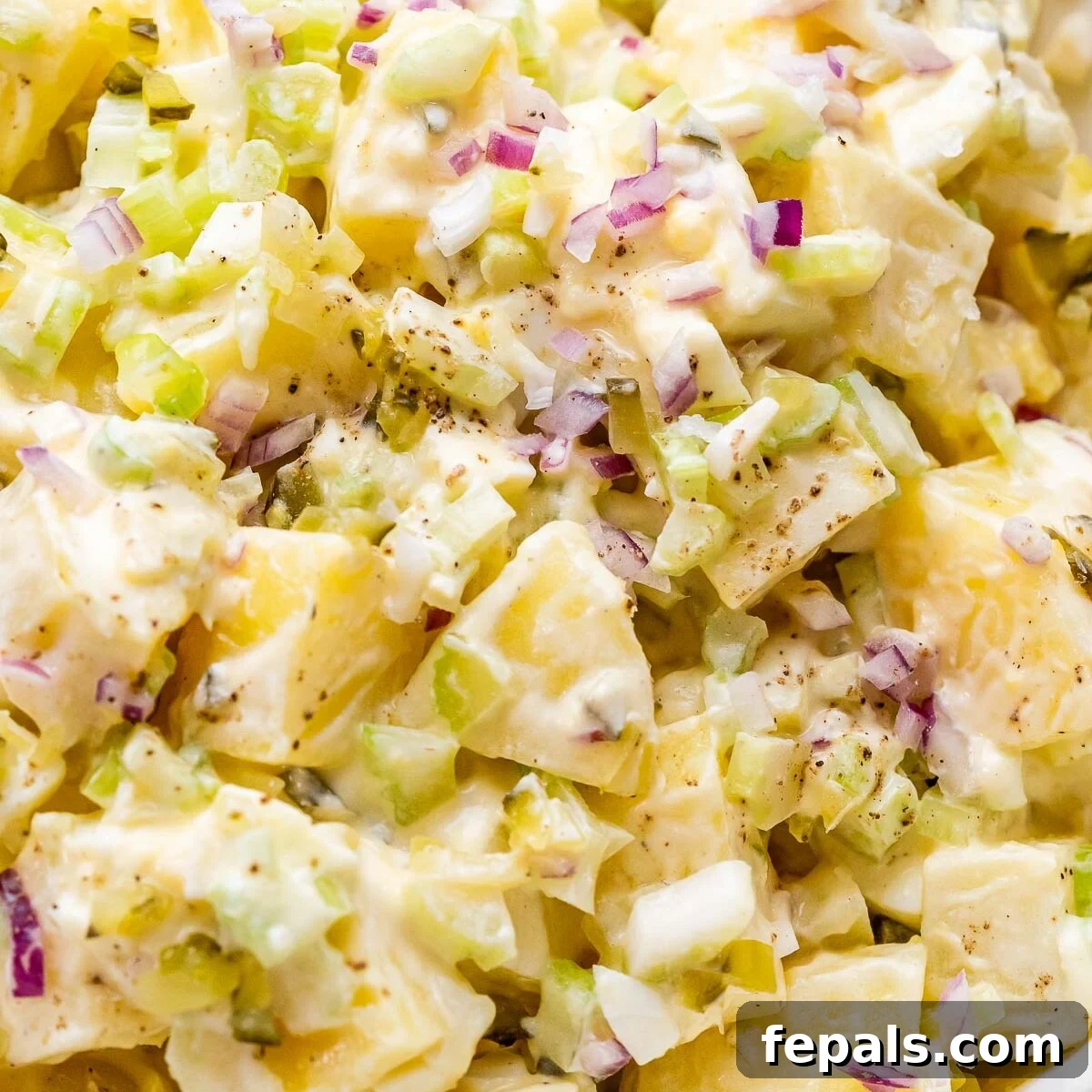 Detailed view of the potato salad’s creamy texture with visible seasoning and fresh crunch from veggies.