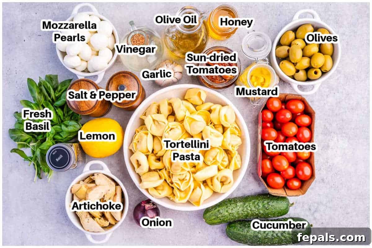 Zesty Italian Tortellini Toss 3 Ingredients for tortellini pasta salad laid out on a surface, including tortellini, tomatoes, cucumber, olives, and mozzarella.
