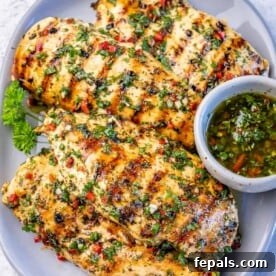 Fire Up the Flavor Grilled Chicken 3 Top-down view of a perfectly grilled chimichurri chicken breast on a clean white plate.