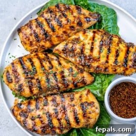 Fire Up the Flavor Grilled Chicken 8 Four juicy honey mustard grilled chicken breasts resting on a lettuce leaf on a plate.
