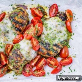 Fire Up the Flavor Grilled Chicken 10 An overhead view of a balsamic and pesto grilled chicken breast topped with tomatoes and melted cheese.