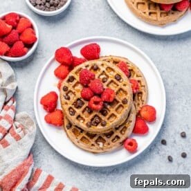 Perfectly cooked chocolate waffles on a plate, topped with fresh red raspberries and chocolate chips.