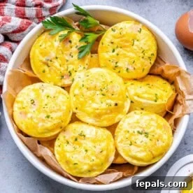 A bowl filled with fluffy, golden-brown cottage cheese egg bites, a perfect high-protein brunch option.