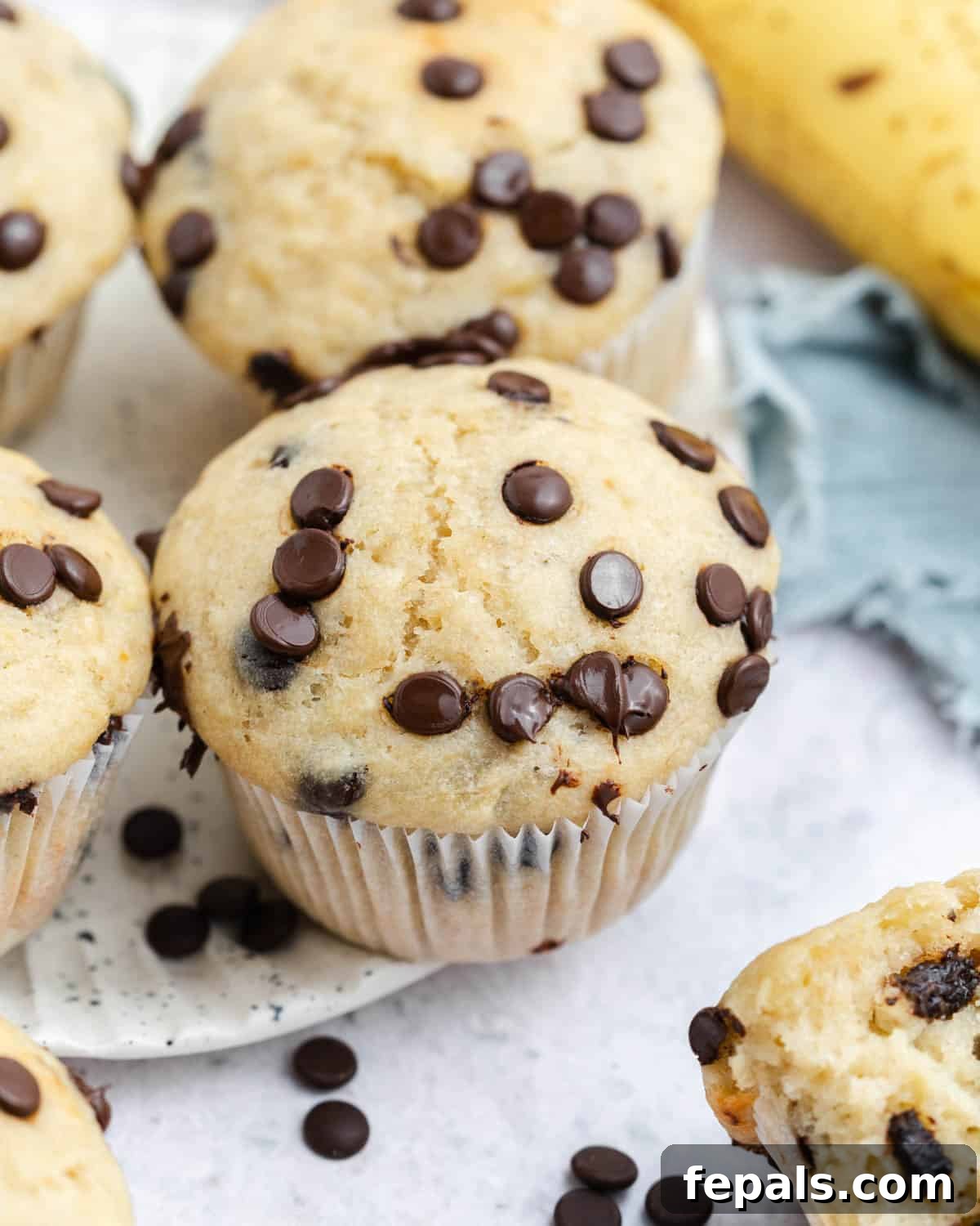 cottage cheese banana muffins with chocolate chips on a plate.