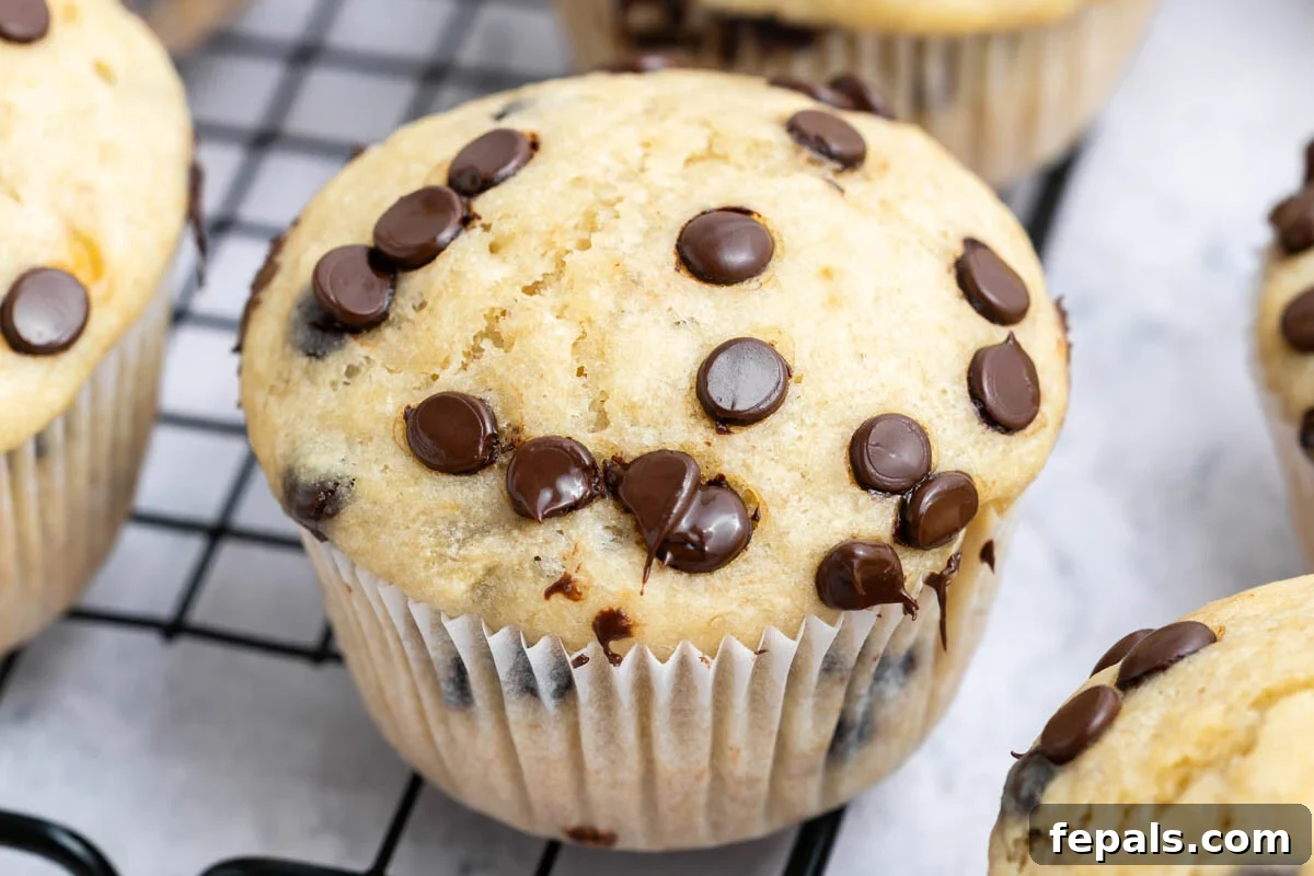 baked cottage cheese banana muffins with chocolate chips on a wire rack.