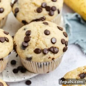 muffins on a plate with chocolate chips on top.