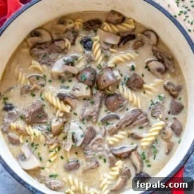 15-Minute Beef Dinners for Busy Weeknights 8 top view of stroganoff soup in red pot