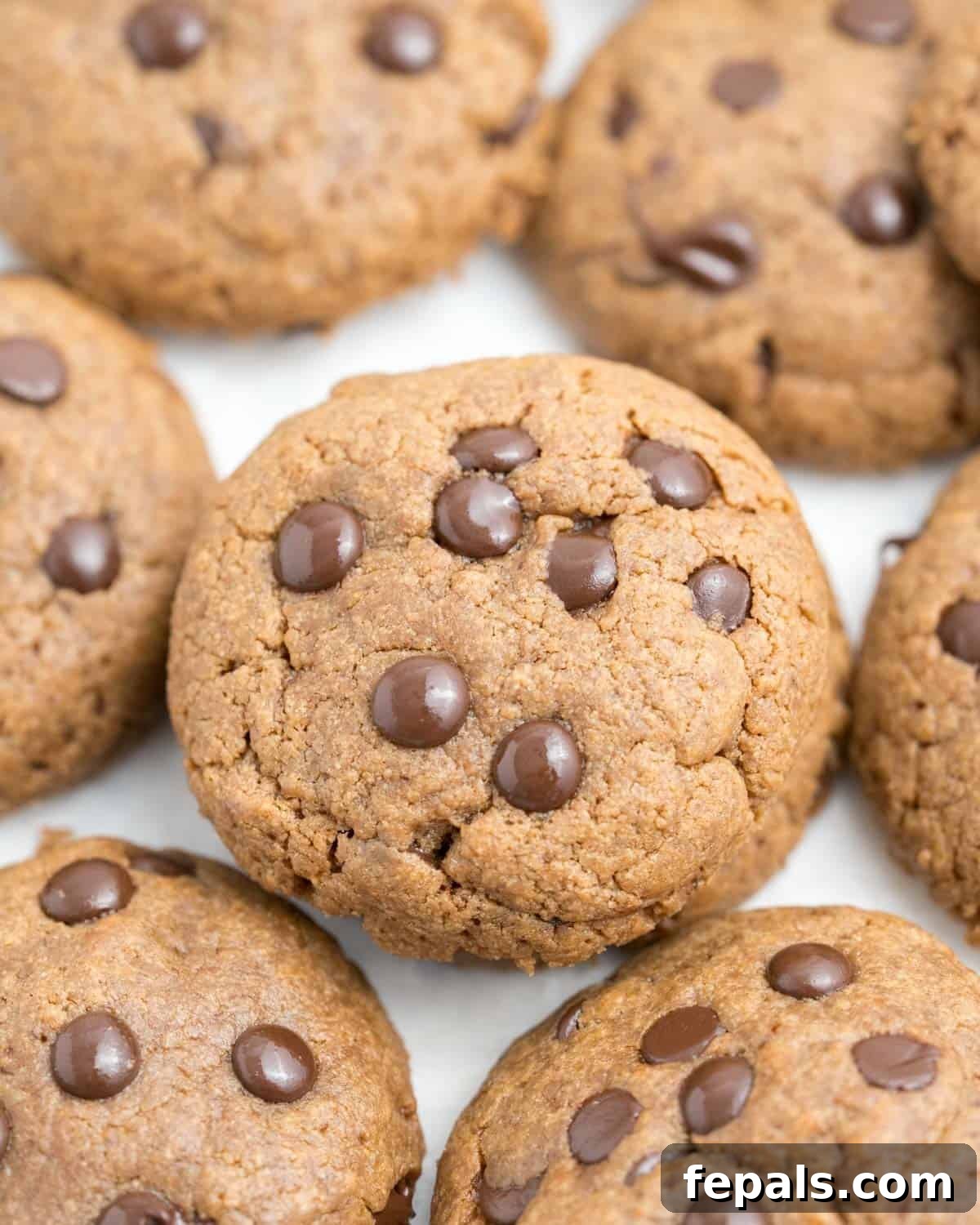A group of almond butter cookies with chocolate chips.