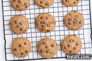baked cookies on a wire rack to be cooled.