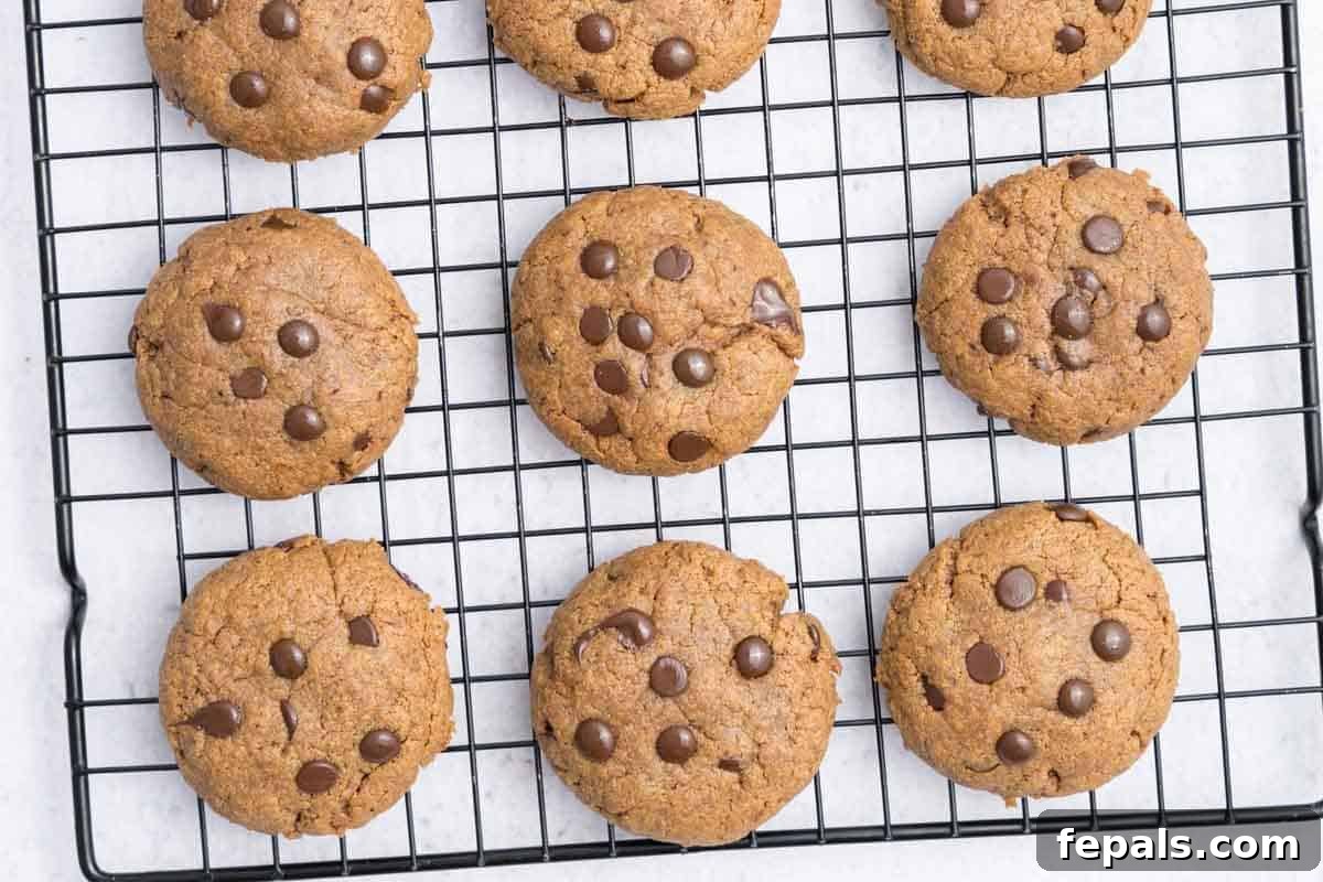 baked cookies on a wire rack to be cooled.