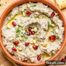 baba ganoush with pomegranate garnish
