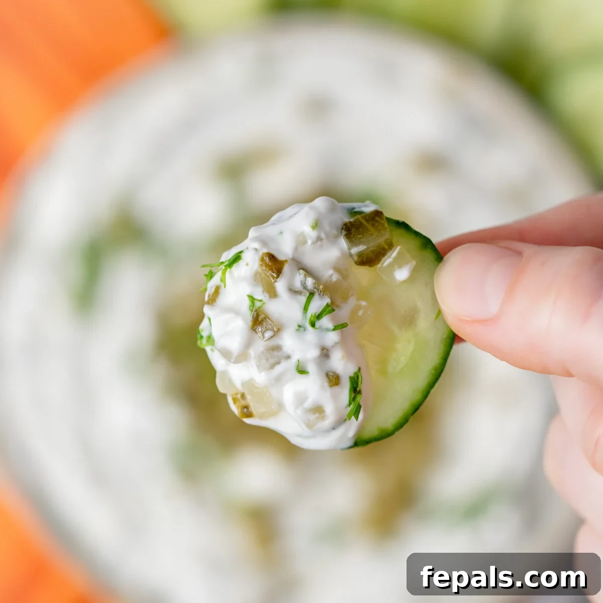 hand holding a cucumber dipped in yogurt pickle dip.