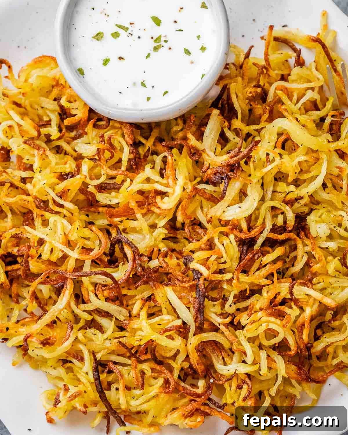 Crispy Air Fryer Frozen Hash Browns Recipe 5 A plate of hash browns with a small bowl of creamy dip.