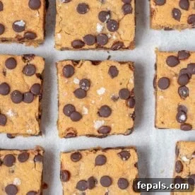High-Protein Chocolate Chip Cookie Bars for Snackable Energy 8 cookie protein bars laid next to each other.