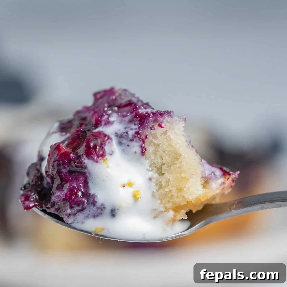 Classic Blueberry Cobbler Recipe 8 A spoonful of blueberry cobbler.