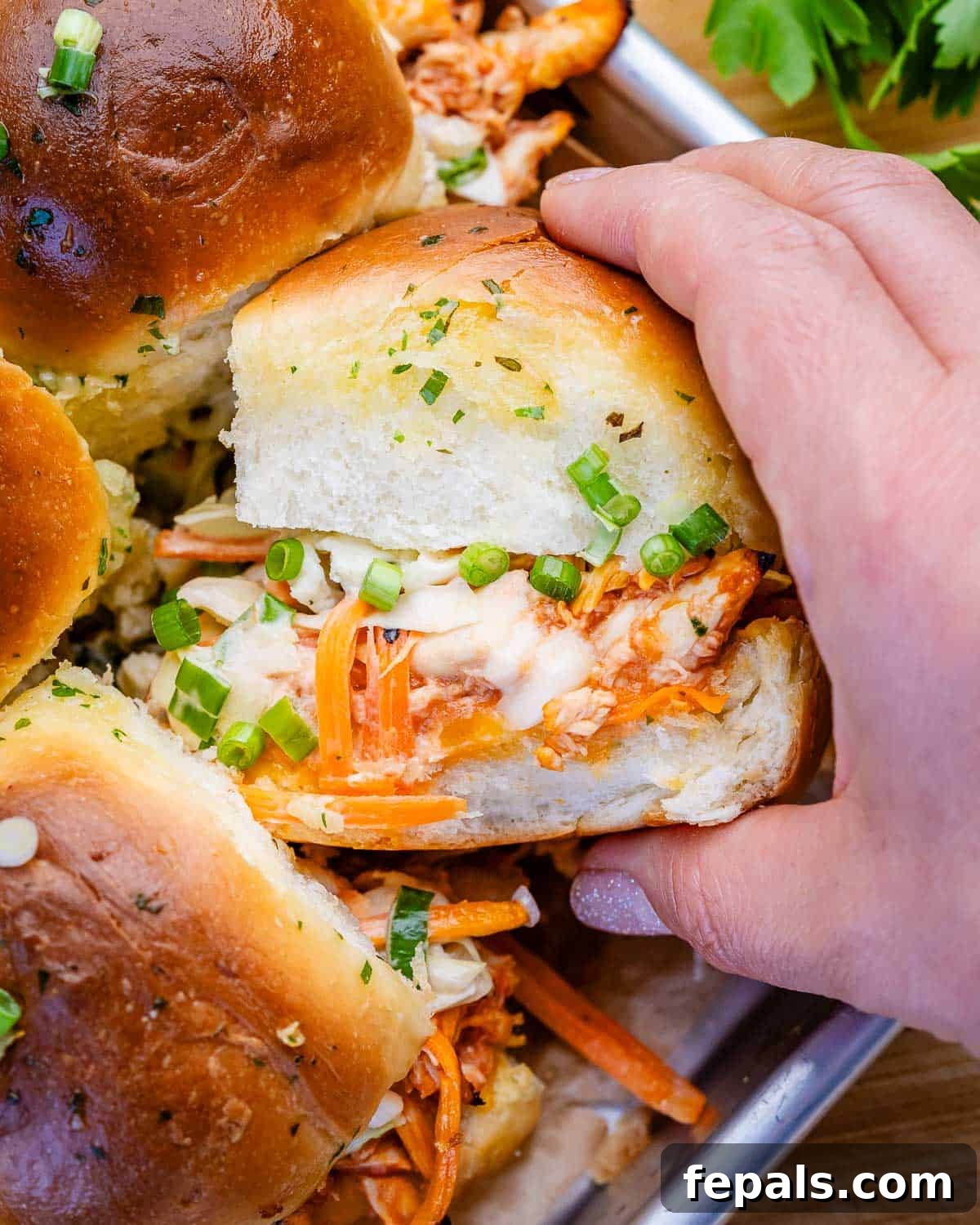 A hand holding a buffalo chicken slider.